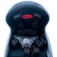 Scaun de bicicleta pentru copii WeeRide SafeFront Clasic, pozitie montare centru, greutate admisa 15 kg