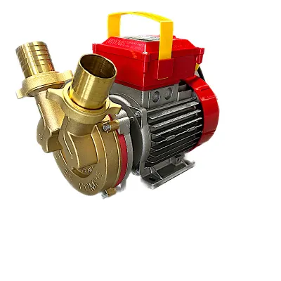 Electropompa Rover 40 pentru transvazare vin si lichide alimentare - Default Title