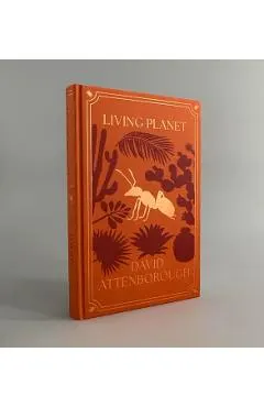 The Life Trilogy Boxset