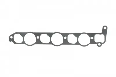 Garnitura galerie admisie potrivit MITSUBISHI L200, L200 TRITON, PAJERO SPORT II 2.5D 01.04