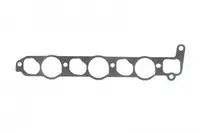 Garnitura galerie admisie potrivit MITSUBISHI L200, L200 TRITON, PAJERO SPORT II 2.5D 01.04-