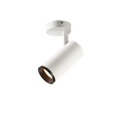 Corp iluminat TAVAN, NUMINOS M lumini plafon, LED alb Interior suprafata pe plafon alb Barele Deschis / negru 3000K 60 °