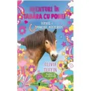 Aventuri in tabara cu ponei. Sophie si poneiul misterios
