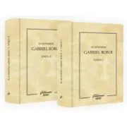 In honorem Gabriel Boroi