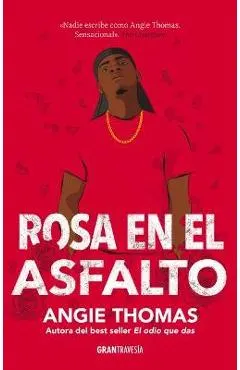 Rosa En El Asfalto