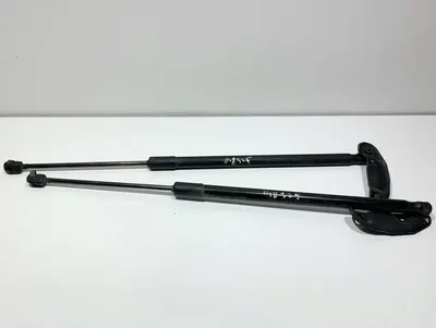 Set telescoape capota spate 3G9827550B Volkswagen Passat B8 (2014-2019)