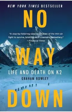 No Way Down: Life and Death on K2