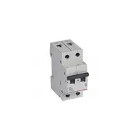 Siguranta automata MCB RX³ 6000 - 2P - 230/400 V~ - 25 A - B curba - alimentare tip furca