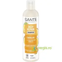 Sampon Regenerant si Reparator pentru Par Uscat si Deteriorat 250ml