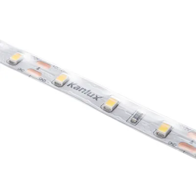 Banda Led Led Strip L60 L60 11w/m 12 Ip65-Cw
