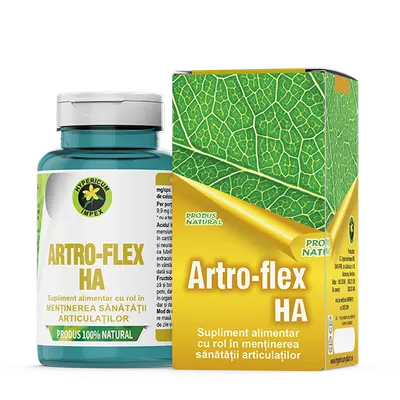 Artro Flex HA, 60 capsule, Hypericum
