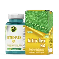 Artro Flex HA, 60 capsule, Hypericum