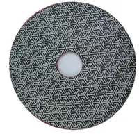 Paduri / dischete diamantate galvanizate (electroplacate) pt. slefuire uscata #100 Ø100mm - DXDY.DRYPADGALV.100.0100