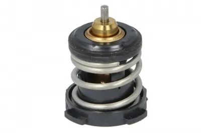 Termostat Lichid Racire (87 C) Potrivit Audi A1, A1 City Carver, A3, A4 B9, A5, Q2, Q3, Tt; Cupra Formentor, Leon, Leon Sportstourer; Seat Alhambra, Arona, Ateca, Ibiza Iv 1.0-2.0 04.11