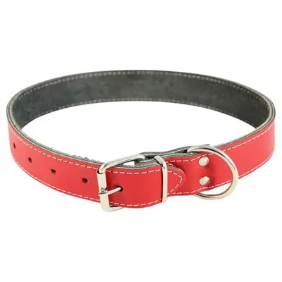 Zgarda din piele pentru caini Nr. 6 Petro Rosie 4 x 75 cm
