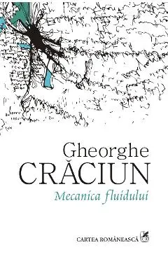 eBook Mecanica fluidului