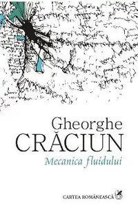 eBook Mecanica fluidului