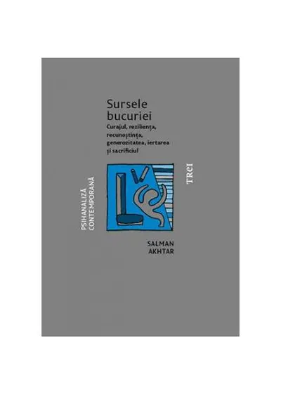 Sursele bucuriei. Curajul, reziliența, recunoștința, generozitatea, iertarea și sacrificiul - Paperback brosat - Salman Akhtar