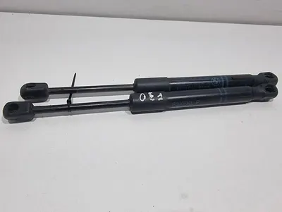 Set telescoape capota spate 7255812 BMW Seria 3 (2011-2019) [F30]