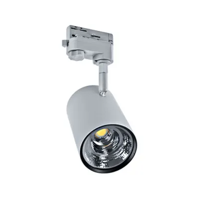 Villanova 2 3-Phase Led-Spot Silver 20° 4000k Dali