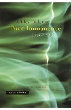 Pure Immanence