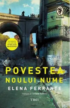 Povestea noului nume. Seria Tetralogia Napolitana Vol.2