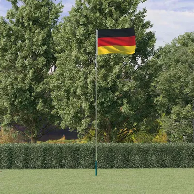 vidaXL Steag Germania și stâlp din aluminiu, 5,5 m