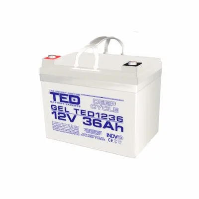 Acumulator AGM VRLA TED1236M6 12V 36Ah