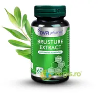 Brusture Extract 60cps