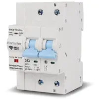 Siguranta automata inteligenta Wi-Fi 1P+N 63A Sinotimer WCB102, Tuya