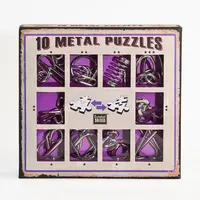10 Metal Puzzles Set Purple