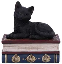 Cutie de depozitare Nemesis Now Nemesis Now Adult: Gothic - Salems Spells, 12 cm