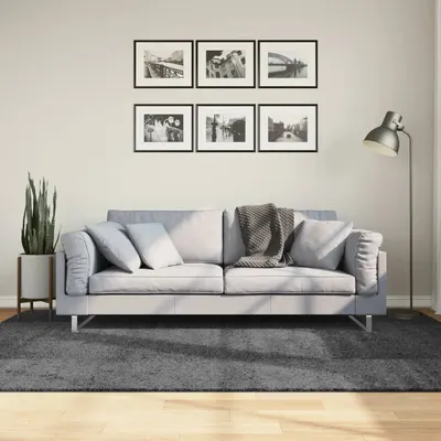 vidaXL Covor „OVIEDO”, fire scurte, antracit, 160x230 cm