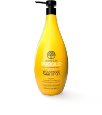 Sampon de Par Profesional pentru Par Vopsit, EVOQUE Healthy Care Purifying Color, 1000 ml - Cu Ulei de Argan, Protectie a Culorii, Antistatic, Pentru Toate Tipurile de Par - Evoque