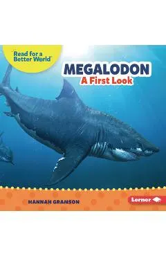 Megalodon: A First Look