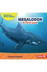 Megalodon: A First Look
