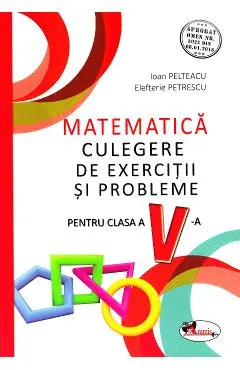 Matematica - Clasa 5 - Culegere de exercitii si probleme