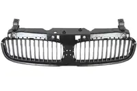 Grila radiator potrivit BMW 7 (E65, E66, E67) 3.0-6.0 2001-2008 pana in 2005 - (partea interioara, crom/negru)