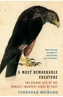 A Most Remarkable Creature: The Hidden Life of the World's Smartest Birds of Prey