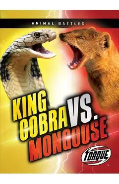 King Cobra vs. Mongoose