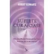 Suflete curajoase. Ne planificam incercarile vietii, inainte de a ne naste?