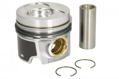 Piston 79,5 (std, pentru Cilindrii 3; 4) Potrivit Audi A3, A4 B6, A6 C5; Seat Ibiza Iii, Leon, Toledo Ii; Skoda Superb I; Vw Bora, Bora I, Golf Iv, Passat B5.5 1.9d 02.00-11.09