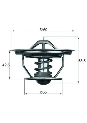Termostat lichid racire (75 C, fara garnitura) potrivit SCANIA 2, 3, 3 BUS, 4 DC11.01-DTC11.02 05.80