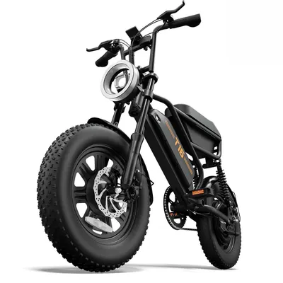 T16 bicicletă electrică pentru adulți, baterie 48V 13Ah și roți de 16x3.0 inci.