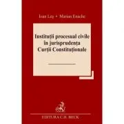 Institutii procesual civile in jurisprudenta Curtii Constitutionale