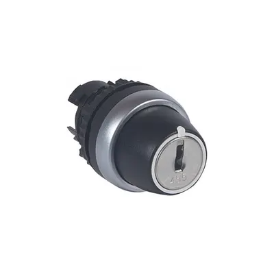 Osmoz non illuminated key selector switch - 2 stay-put positions (0-12h) 90°