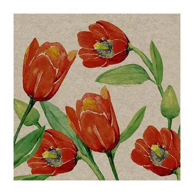 Servetele reciclate TULIPS, 33x33 cm