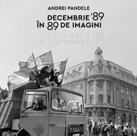 Decembrie '89 în 89 de imagini - Paperback brosat - Andrei Pandele
