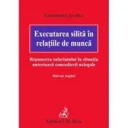 Executarea silita in relatiile de munca. Repunerea salariatului in situatia anterioara concedierii nelegale