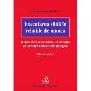 Executarea silita in relatiile de munca. Repunerea salariatului in situatia anterioara concedierii nelegale